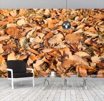 Picture of Dead leaves background